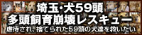�����������d�̉�u��ʁE��59������������󃌃X�L���[�v